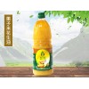 臨沂價(jià)格合理的花生油批售 陜西花生油