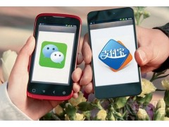 專業(yè)的移動支付技術提供者——江蘇