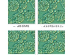 宜興賽爾生物提供宜興細胞培養(yǎng)基，