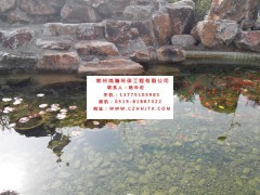 鎮(zhèn)江市別墅景觀魚(yú)池水凈化過(guò)濾循環(huán)