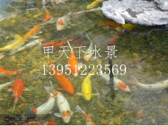 無(wú)錫市錦鯉魚(yú)池過(guò)濾公司！鴻瀚環(huán)保1