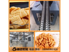 雙螺桿膨化機(jī)朗正膨化食品設(shè)備