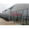連棟薄膜溫室_山東優質連棟薄膜溫室建設公司