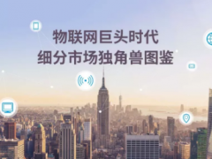 物聯(lián)網(wǎng)巨頭時代下細(xì)分市場獨角獸圖鑒