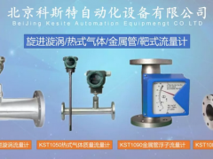 分析熱式氣體質(zhì)量流量計有具有那些優(yōu)缺點(diǎn)說明