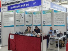 直擊現場丨麥森自動化攜熱電偶、熱電阻、鎧裝加熱器系列彩亮相淄博石油化工展