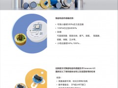 德薩堡公司 作為德國E+H傳感器的唯一授權(quán)經(jīng)銷商的產(chǎn)品優(yōu)勢(shì)及合作優(yōu)惠